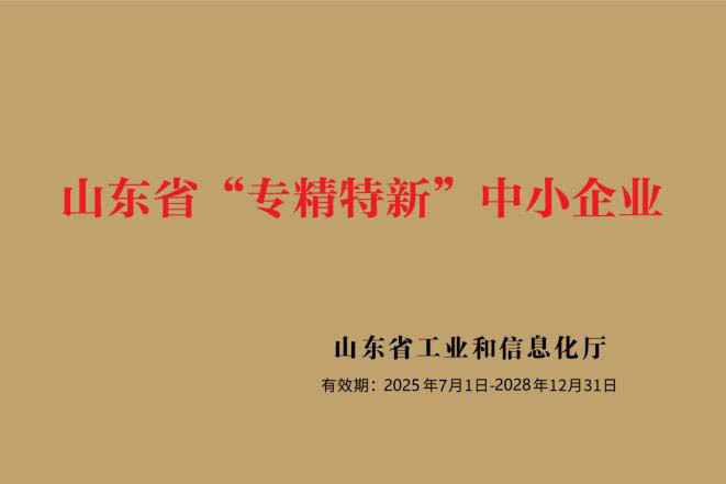 山东省专精特新中小企业.